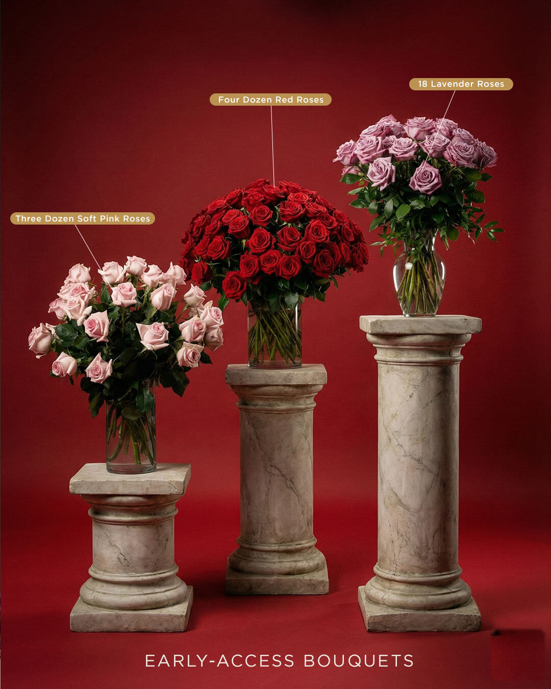 12222025_SF_EarlyBird_02